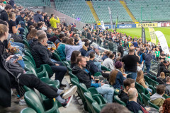 Warszawski Festiwal Piwa - Publiczność