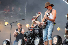 Steve_n_Seagulls