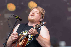 Steve_n_Seagulls
